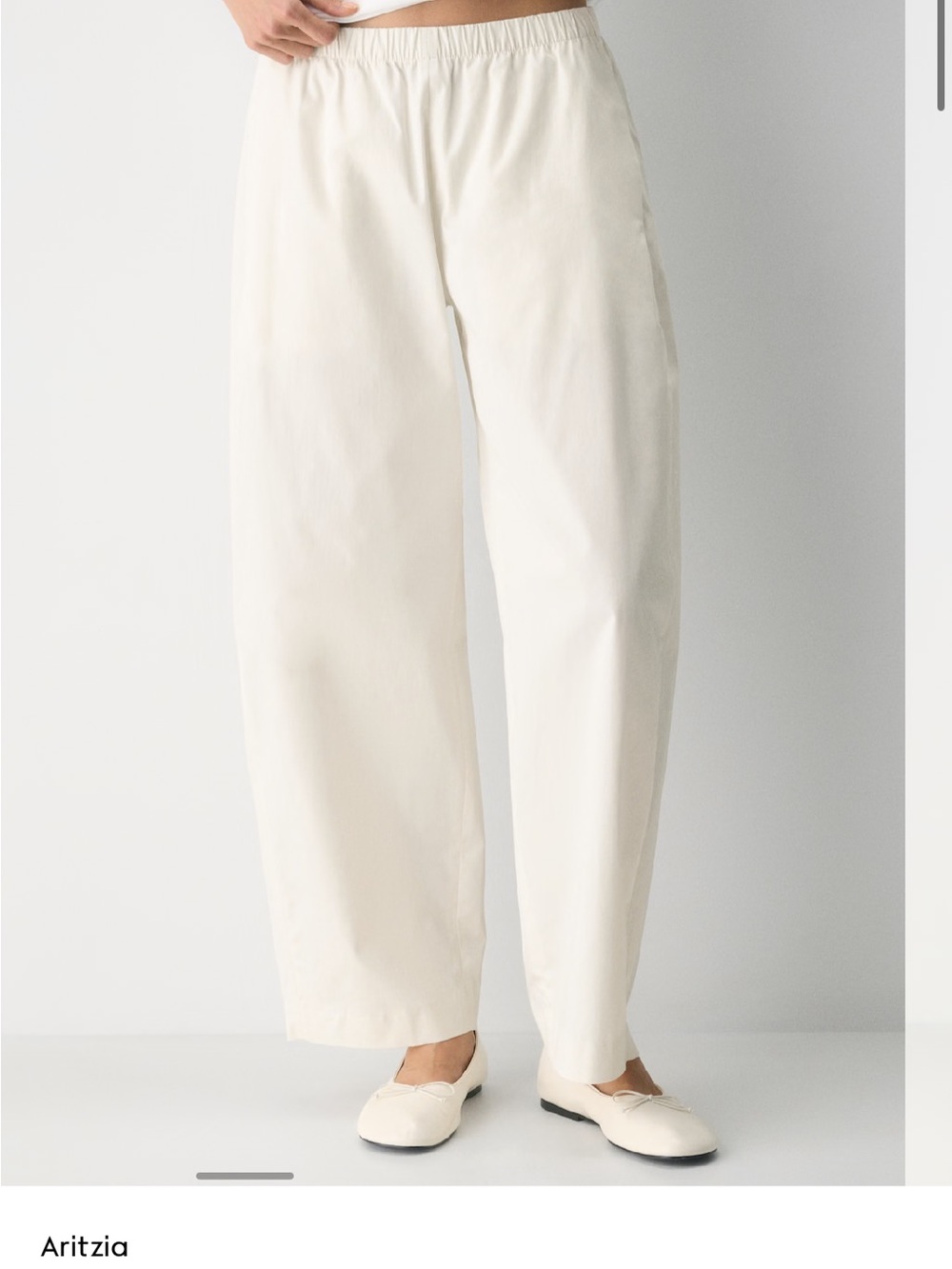 Aritzia Grinell Barrel Pants BNWT